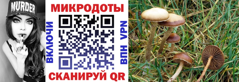 Псилоцибиновые грибы мухоморы  Княгинино 